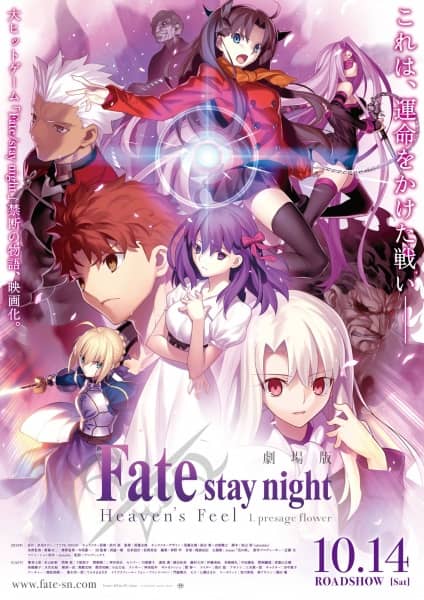 Fate/stay night: Heaven's Feel - I. Presage Flower - Web Novel Continuation Guide