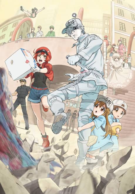 Cells at Work! - Manga Continuation Guide