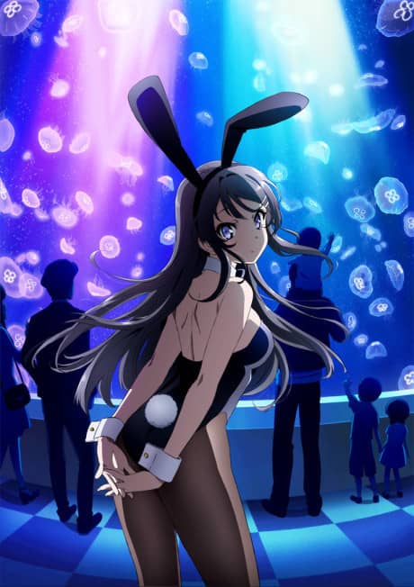 Rascal Does Not Dream of Bunny Girl Senpai - Light Novel Continuation Guide