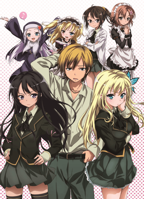 Haganai - Light Novel Continuation Guide