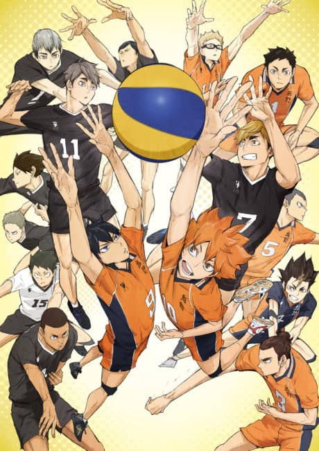 HAIKYU!! TO THE TOP Part 2 - Manga Continuation Guide