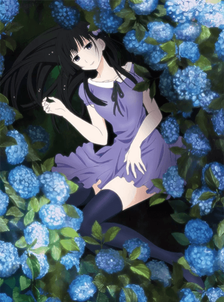 Sankarea: Undying Love - Manga Continuation Guide