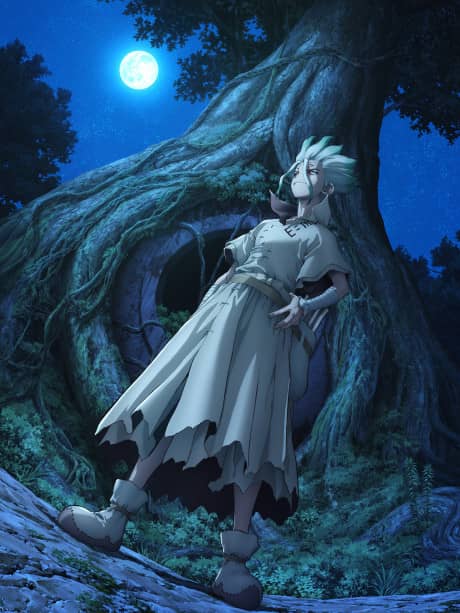 Dr. STONE New World - Manga Continuation Guide