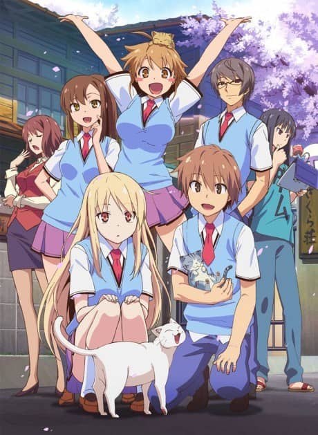 The Pet Girl of Sakurasou - Light Novel Continuation Guide