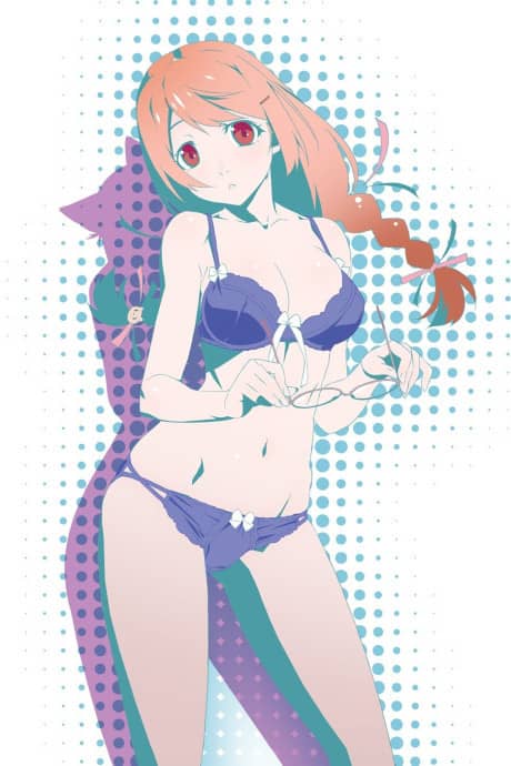 Nekomonogatari Black - Light Novel Continuation Guide