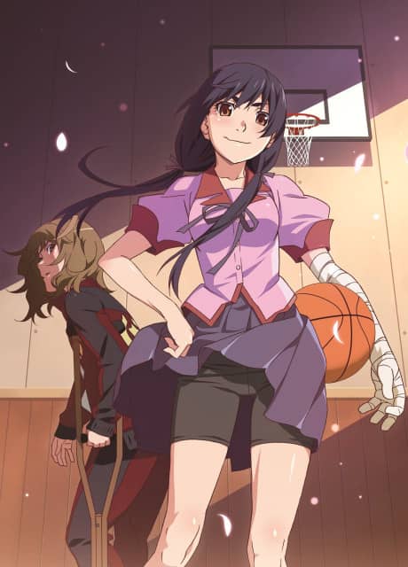 Hanamonogatari - Light Novel Continuation Guide