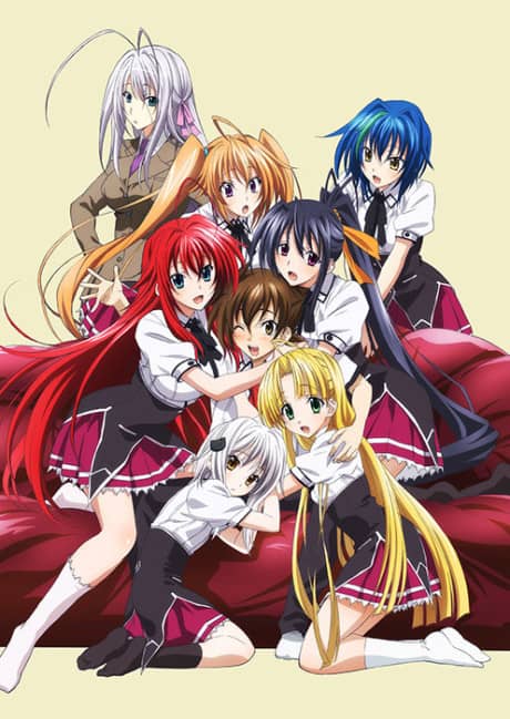 High School DxD BorN - Light Novel Continuation Guide