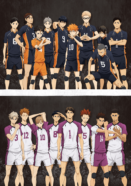 HAIKYU!! 3rd Season - Manga Continuation Guide