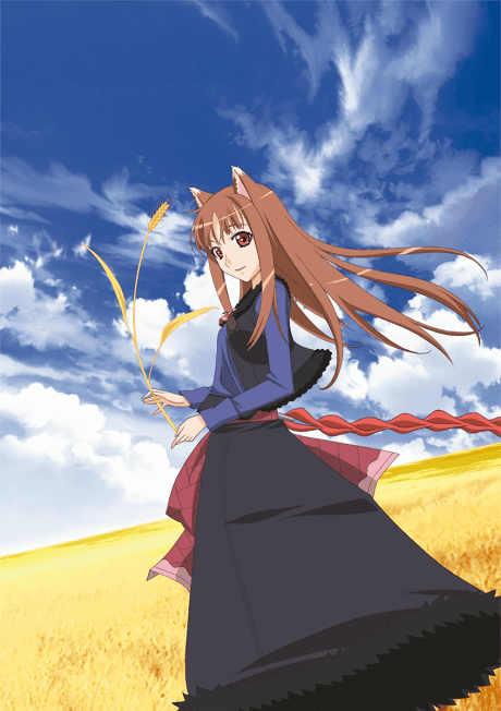 Spice and Wolf - Light Novel Continuation Guide