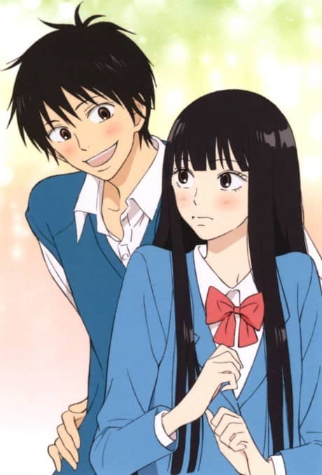 Kimi ni Todoke: From Me to You - Manga Continuation Guide