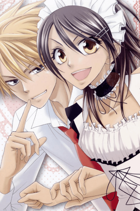 Maid-Sama! - Manga Continuation Guide
