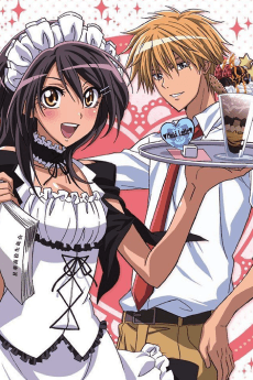 Maid-Sama! LaLa Special - Manga Continuation Guide