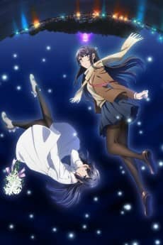 Rascal Does Not Dream of a Dreaming Girl - Light Novel Continuation Guide
