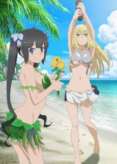 Is It Wrong to Try to Pick Up Girls in a Dungeon? II: Is It Wrong to Go Searching for Herbs on a Deserted Island? - Light Novel Continuation Guide