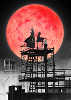 Bungo Stray Dogs 4 - Manga Continuation Guide