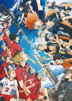 HAIKYU!! The Dumpster Battle - Manga Continuation Guide