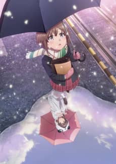 Rascal Does Not Dream of a Sister Venturing Out - Light Novel Continuation Guide