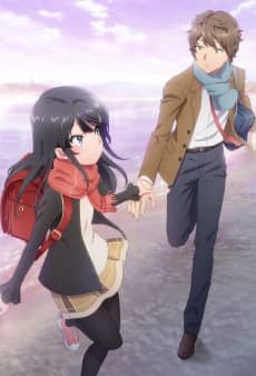 Rascal Does Not Dream of a Knapsack Kid - Light Novel Continuation Guide