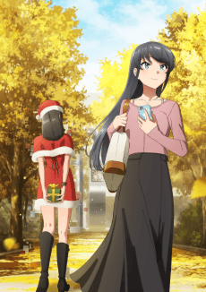 Rascal Does Not Dream of Santa Claus - Light Novel Continuation Guide