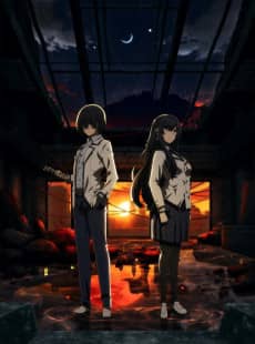 Kage no Jitsuryokusha ni Naritakute!: Zankyou-hen - Light Novel Continuation Guide