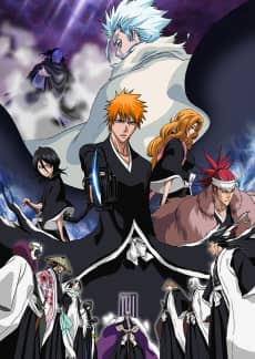 Bleach the Movie: The DiamondDust Rebellion - Anime Original Continuation Guide