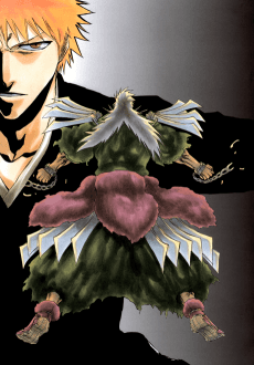 BLEACH: The Sealed Sword Frenzy - Manga Continuation Guide