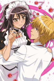 Maid-Sama! It's an extra! - Manga Continuation Guide