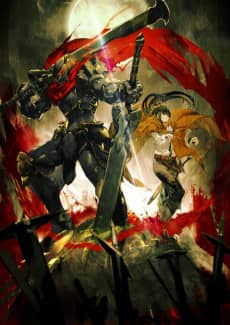 Overlord: The Dark Hero - Light Novel Continuation Guide