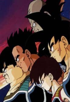 Dragon Ball Z: Bardock – The Father of Goku - Anime Original Continuation Guide